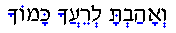 hebrew-pointed.gif (506 bytes)